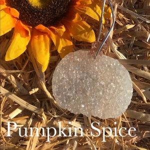 Pumpkin Car Freshener